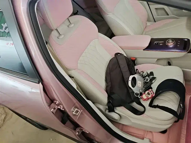 Geely Geometry E Firefly — Фото автомобиля 24