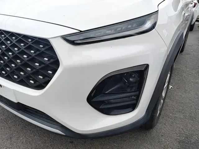 Chery Tiggo 3x — Фото автомобиля 23