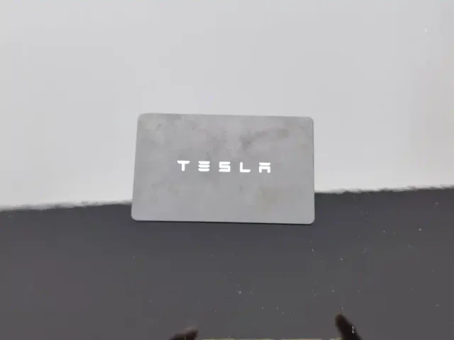 Tesla Model Y — Фото автомобиля 19