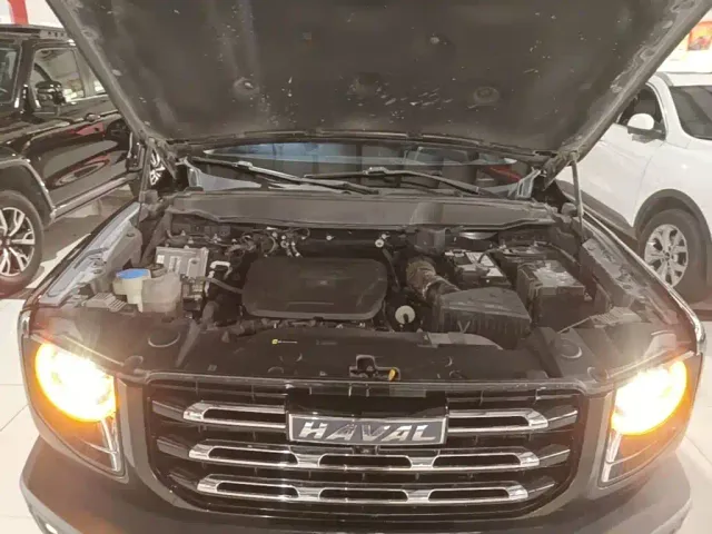 Haval Big Dog — Фото автомобиля 19
