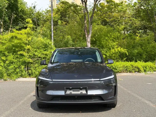 Tesla Model Y — Фото автомобиля 2