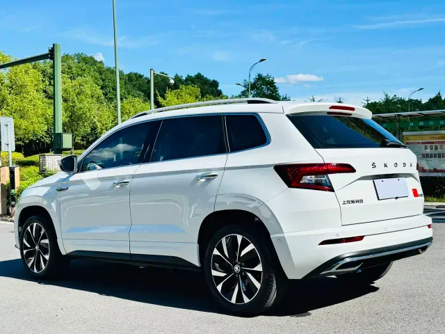 Skoda Karoq — Фото автомобиля 14