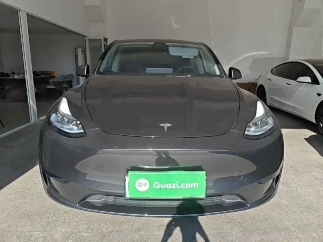 Tesla Model Y — Фото автомобиля 2