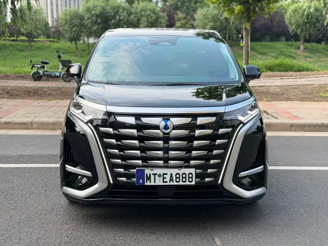 Denza D9 — Фото автомобиля 3