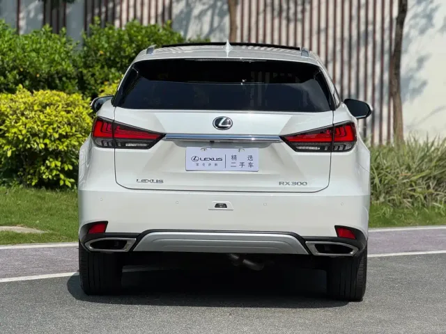 Lexus RX — Фото автомобиля 13
