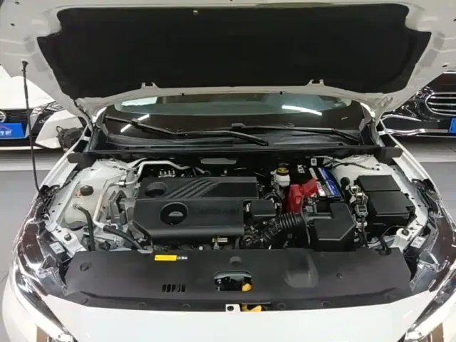 Nissan Sylphy — Фото автомобиля 19