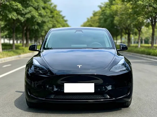 Tesla Model Y — Фото автомобиля 2