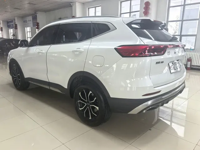 Haval H6 — Фото автомобиля 6