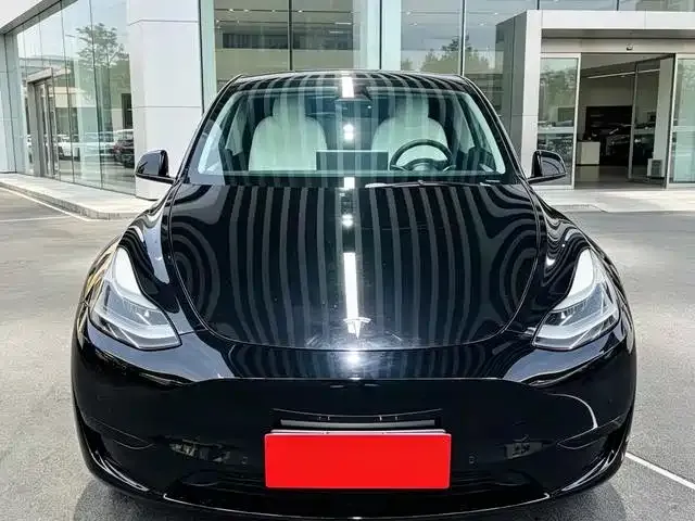 Tesla Model Y — Фото автомобиля 2