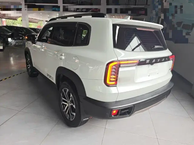 Haval Haval Big Dog 2021 1.5T DCT 2WD Border Collie Edition — Фото автомобиля 4
