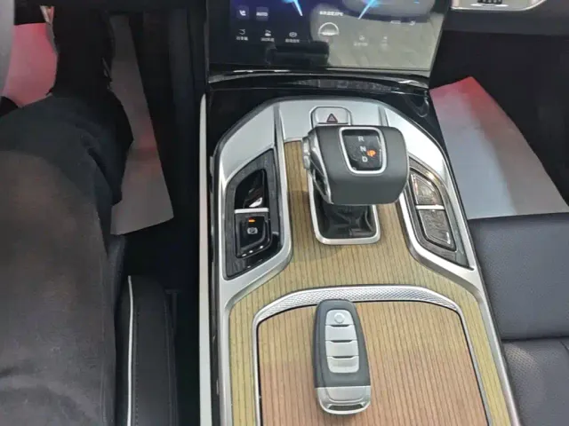 Hongqi E-HS9 — Фото автомобиля 13