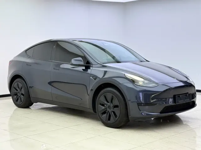 Tesla Model Y — Фото автомобиля 3