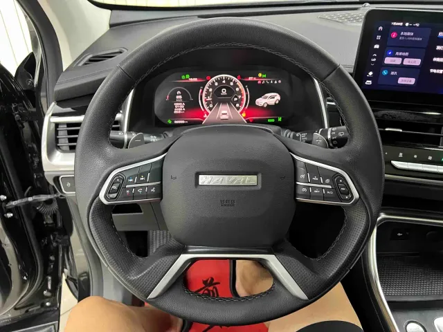Haval Haval H6 2023 National Trend Edition 1.5T Automatic Champion — Фото автомобиля 11