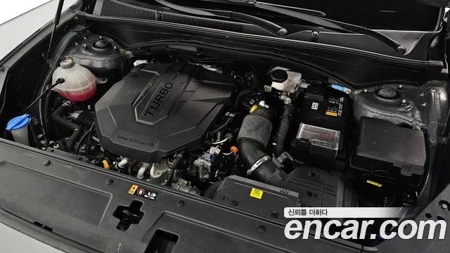 Hyundai Santa Fe Santa Fe (New) — Фото автомобиля 6