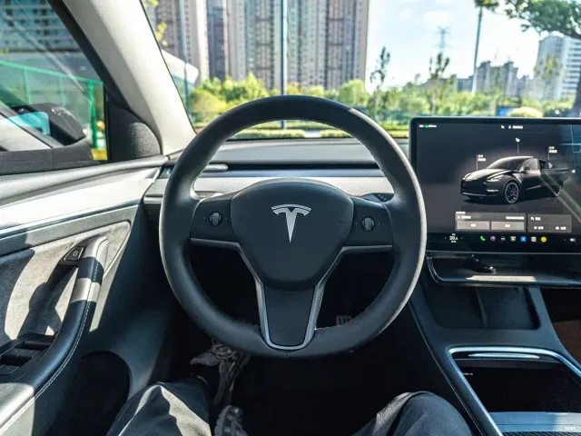 Tesla Model Y — Фото автомобиля 11