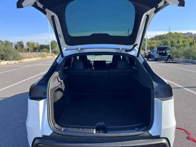 Tesla Model Y — Фото автомобиля 16