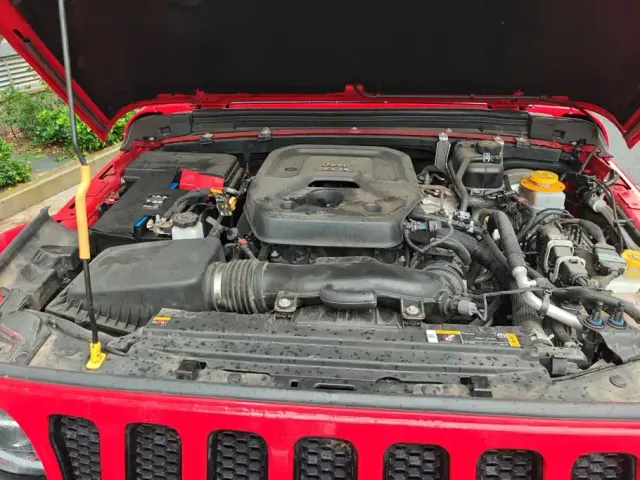 Jeep Wrangler — Фото автомобиля 10