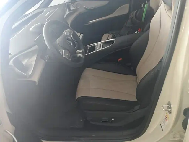 BYD Dolphin — Фото автомобиля 14
