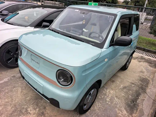 Фотография автомобиля — Geely Panda