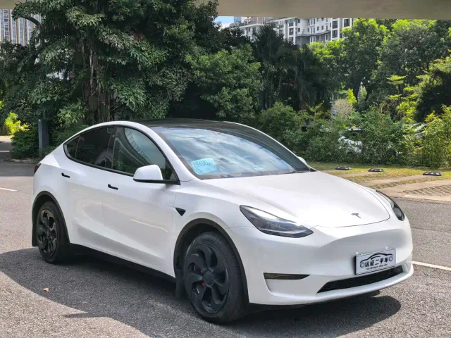 Tesla Model Y — Фото автомобиля 3