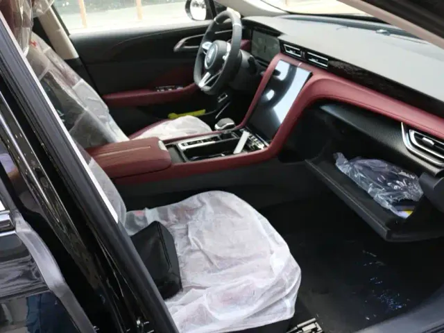 Hongqi Hongqi H5 2025 2.0T Automatic Mystic Shadow 2 Million Edition — Фото автомобиля 12