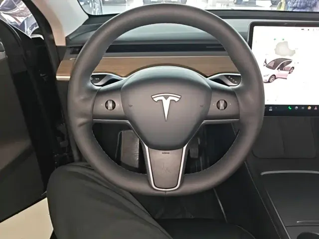 Tesla Model Y — Фото автомобиля 10