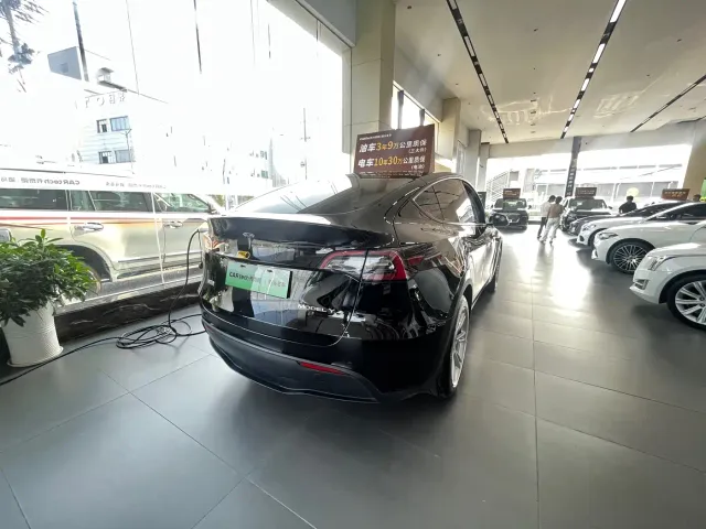 Tesla Model Y — Фото автомобиля 5