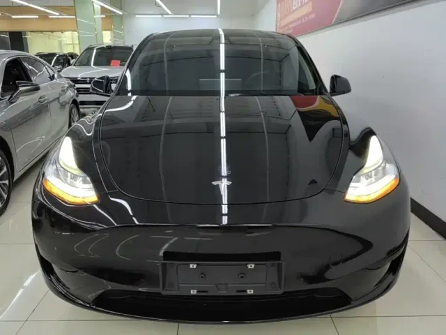 Tesla Model Y — Фото автомобиля 2