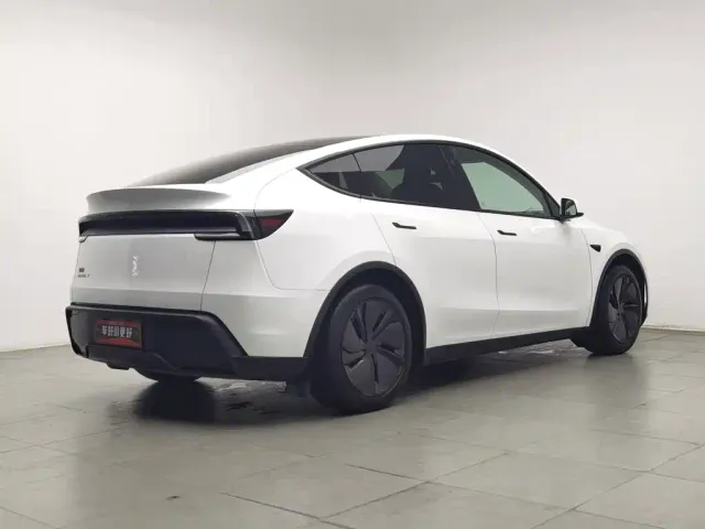 Tesla Model Y — Фото автомобиля 2