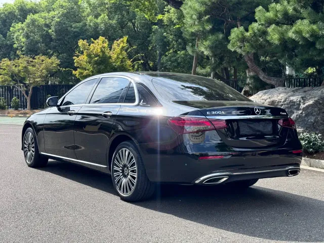 Mercedes-Benz Mercedes-Benz E-Class 2023 E 300 L Luxury — Фото автомобиля 18