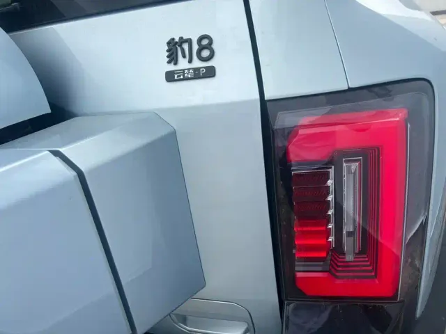 BYD FangChengBao Leopard 8 — Фото автомобиля 26