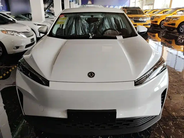 Dongfeng SKY EV01 — Фото автомобиля 2
