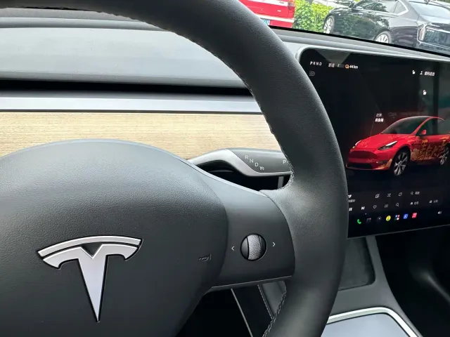 Tesla Model Y — Фото автомобиля 23