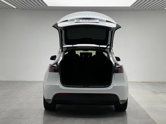Tesla Model Y — Фото автомобиля 10