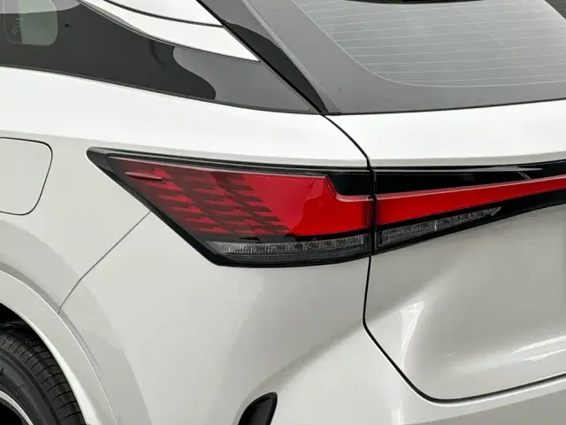 Lexus RX — Фото автомобиля 29