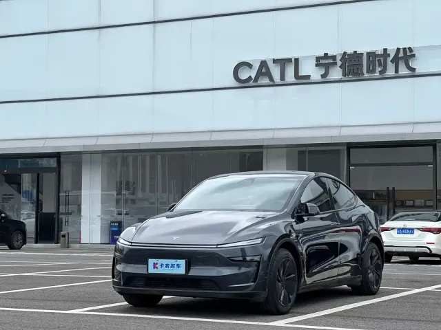 Tesla Model Y — Фото автомобиля 4