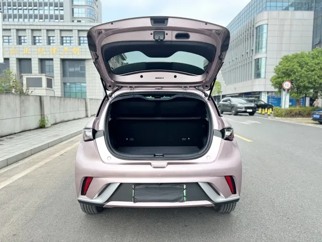 BYD Dolphin — Фото автомобиля 19