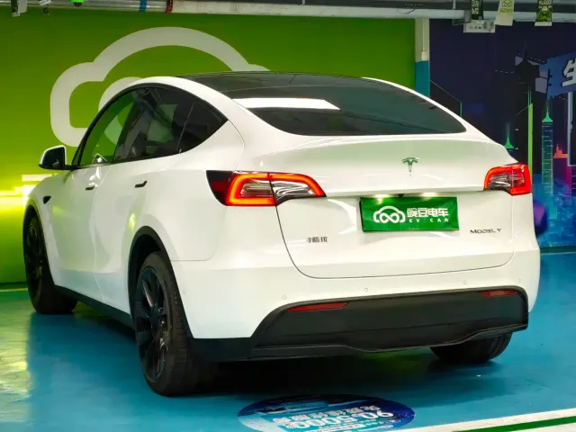 Tesla Model Y 2022 Long Range AWD — Фото автомобиля 15