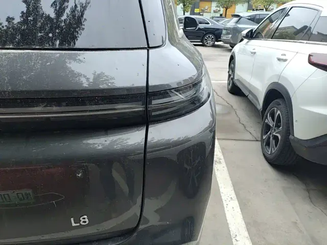 Li Auto L8 — Фото автомобиля 23