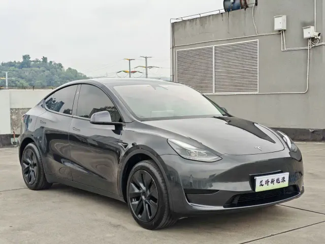 Tesla Model Y — Фото автомобиля 3