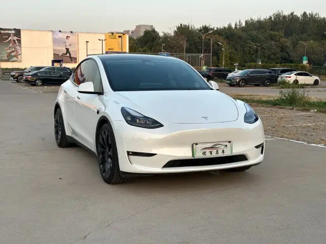 Tesla Model Y — Фото автомобиля 3