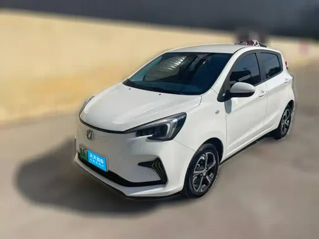 Фотография автомобиля — Changan Benben E-Star