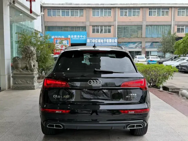 Audi Q5L — Фото автомобиля 8