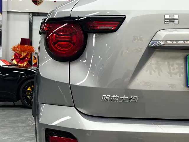 Haval Big Dog — Фото автомобиля 10