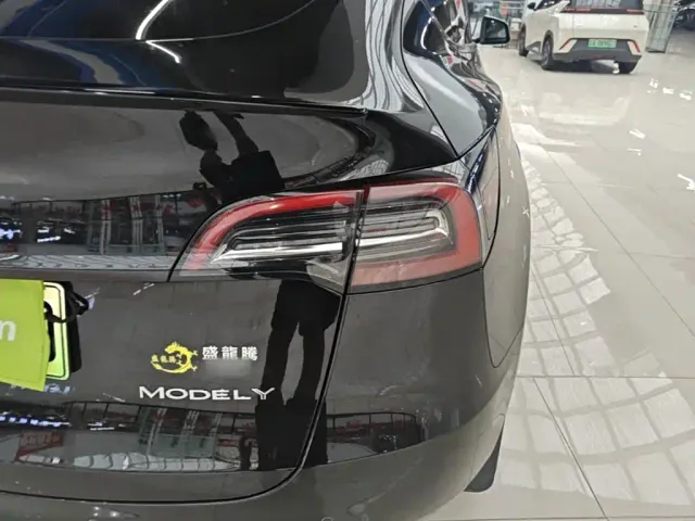 Tesla Model Y — Фото автомобиля 7
