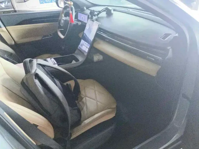 Geely Galaxy Galaxy L6 2024 125km PLUS Soaring Dragon Edition — Фото автомобиля 10