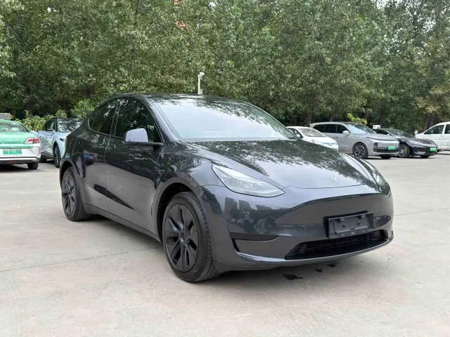 Tesla Model Y — Фото автомобиля 3