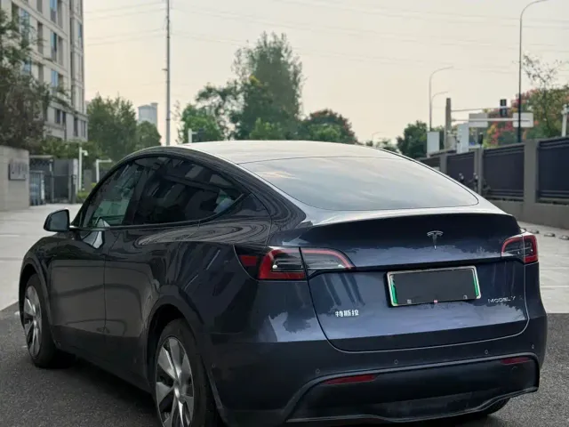 Tesla Model Y — Фото автомобиля 9