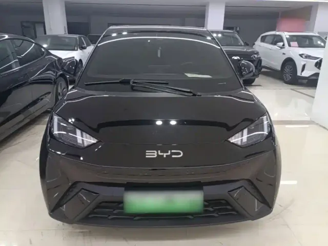 BYD Seagull — Фото автомобиля 2