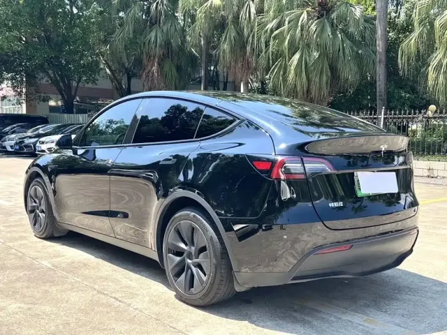 Tesla Model Y 2024 Long Range AWD — Фото автомобиля 9